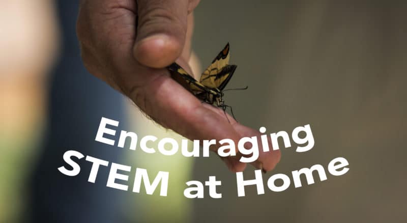 S.T.E.A.M. Home Projects