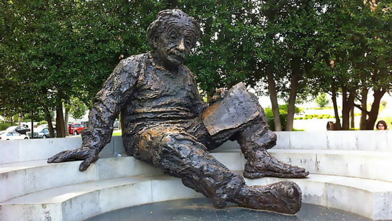 STEM Einstein Fellow