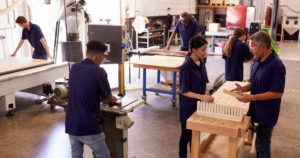 Shaping Education and Employment