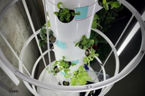 Tower to Table STEM Program