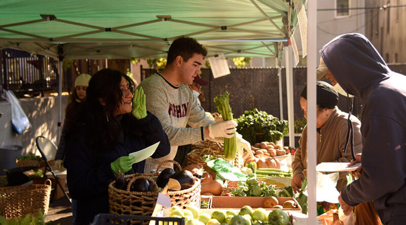 Climate Education at Farmers Market