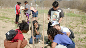 Environmental Sustainability Education