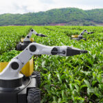 Powerful Agriculture with AI