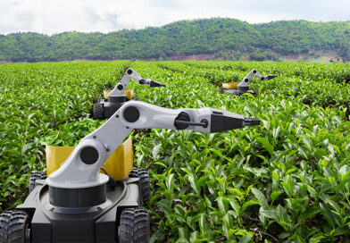 Powerful Agriculture with AI