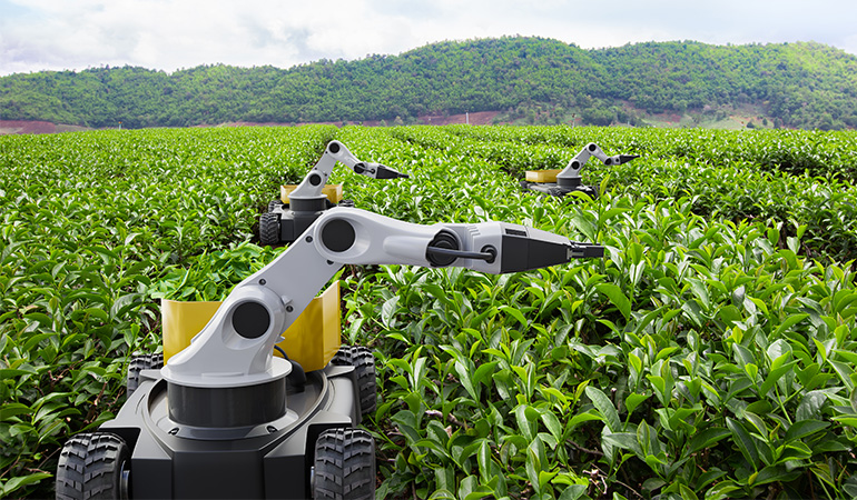 Powerful Agriculture with AI