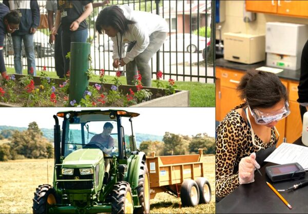 Farming Industry Faces Challenges