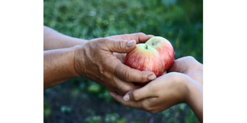 Generosity in Action: The Power of Donations